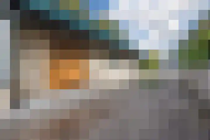 Ravellaan 7 Tilburg thumbnail 50