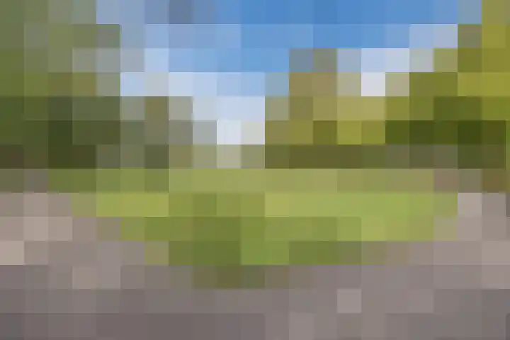 Ravellaan 7 Tilburg thumbnail 52