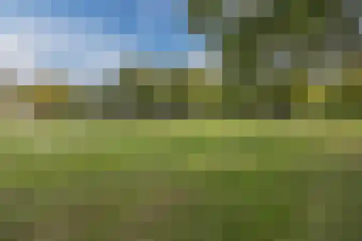 Ravellaan 7 Tilburg thumbnail 54