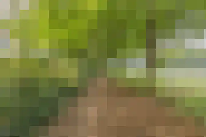 Ravellaan 7 Tilburg thumbnail 55