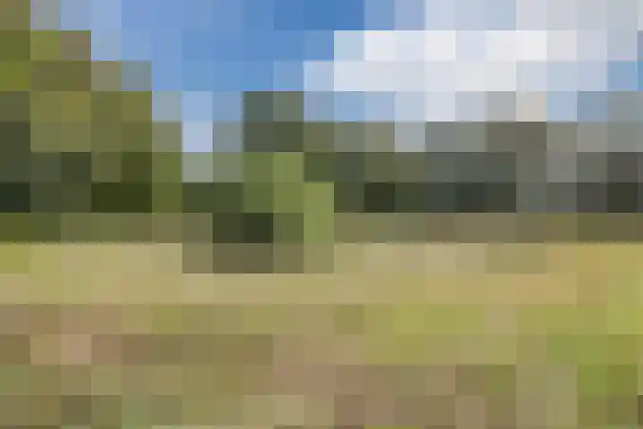 Ravellaan 7 Tilburg thumbnail 56