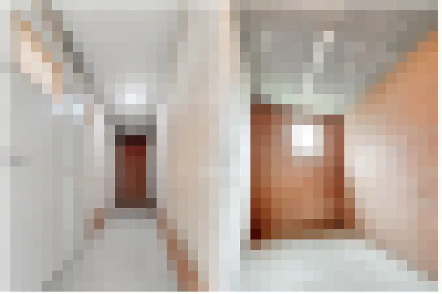 Ravellaan 74 Utrecht thumbnail 38
