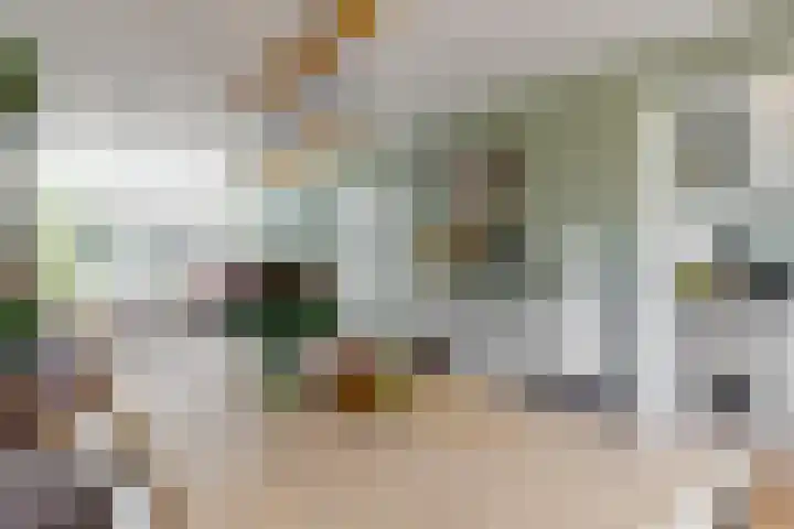 Ravellaan 76 Utrecht thumbnail 13