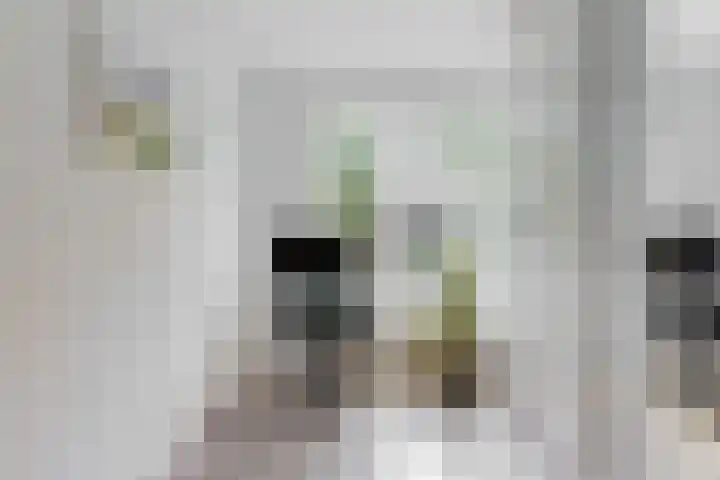 Ravellaan 76 Utrecht thumbnail 15