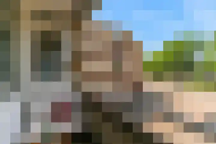 Ravellaan 76 Utrecht thumbnail 20