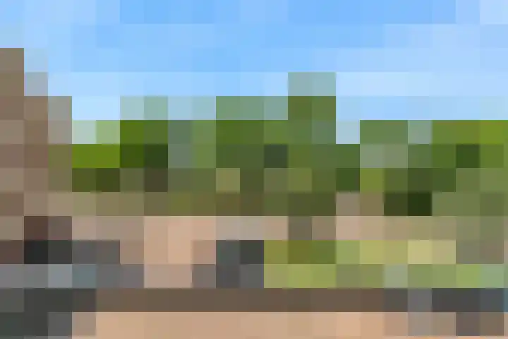Ravellaan 76 Utrecht thumbnail 21