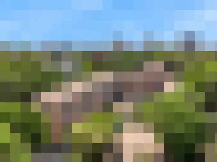 Ravellaan 76 Utrecht thumbnail 23