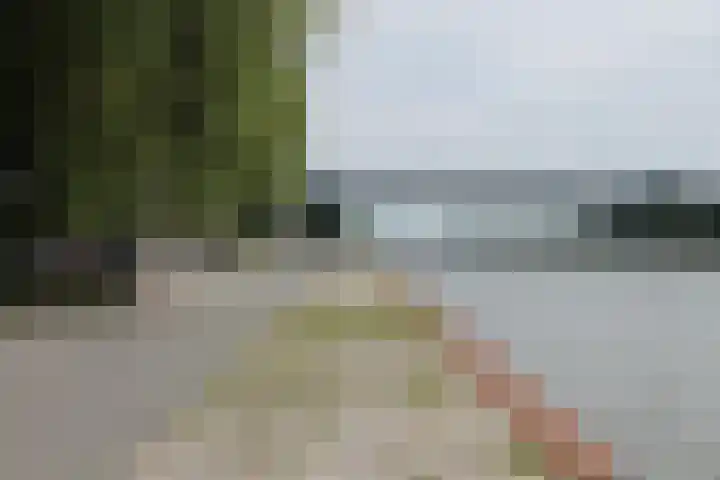 Ravellaan 76 Utrecht thumbnail 29