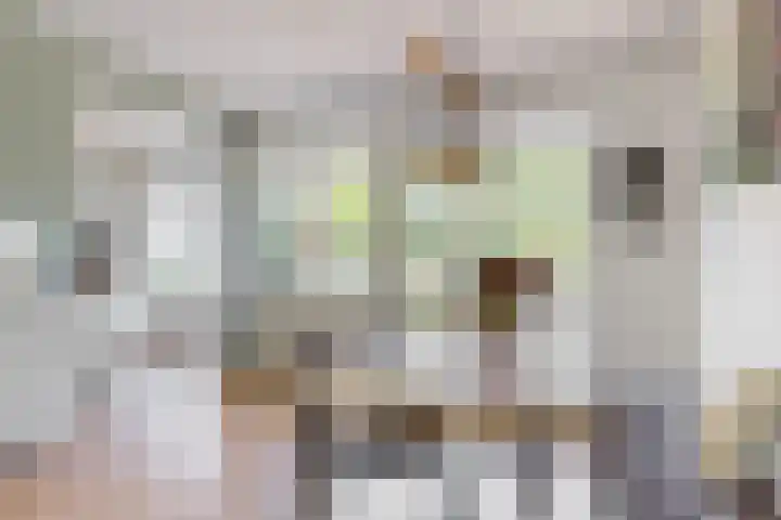 Ravellaan 76 Utrecht thumbnail 5