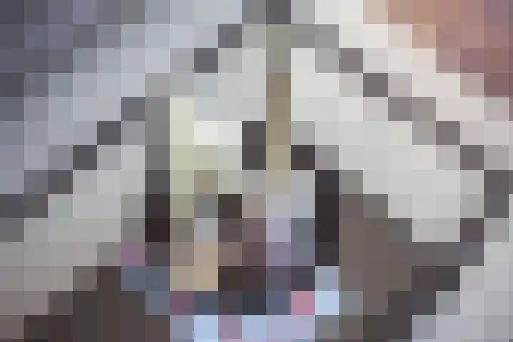 Ravellaan 77 Utrecht thumbnail 10