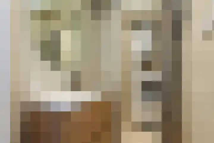 Ravellaan 77 Utrecht thumbnail 27