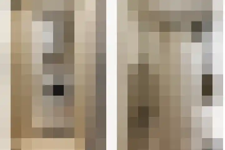 Ravellaan 77 Utrecht thumbnail 28