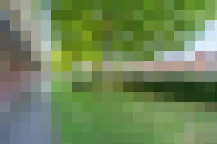Ravellaan 77 Utrecht thumbnail 33