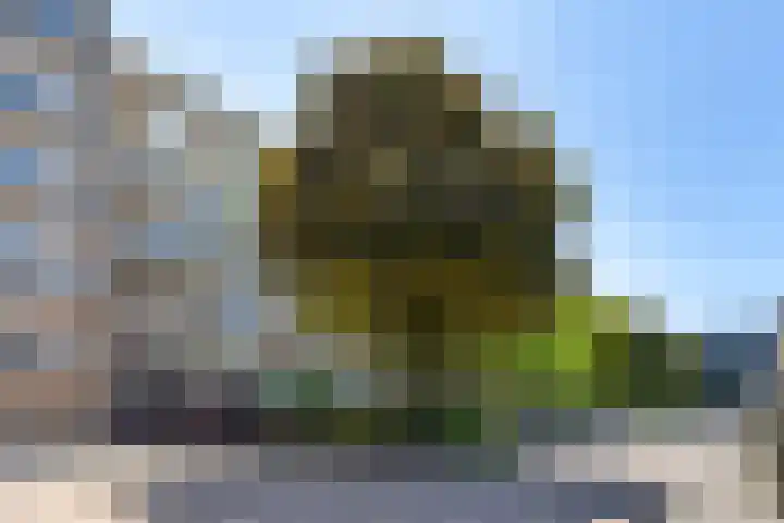 Ravellaan 77 Utrecht thumbnail 34