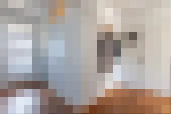 Ravellaan 77 Utrecht thumbnail 6