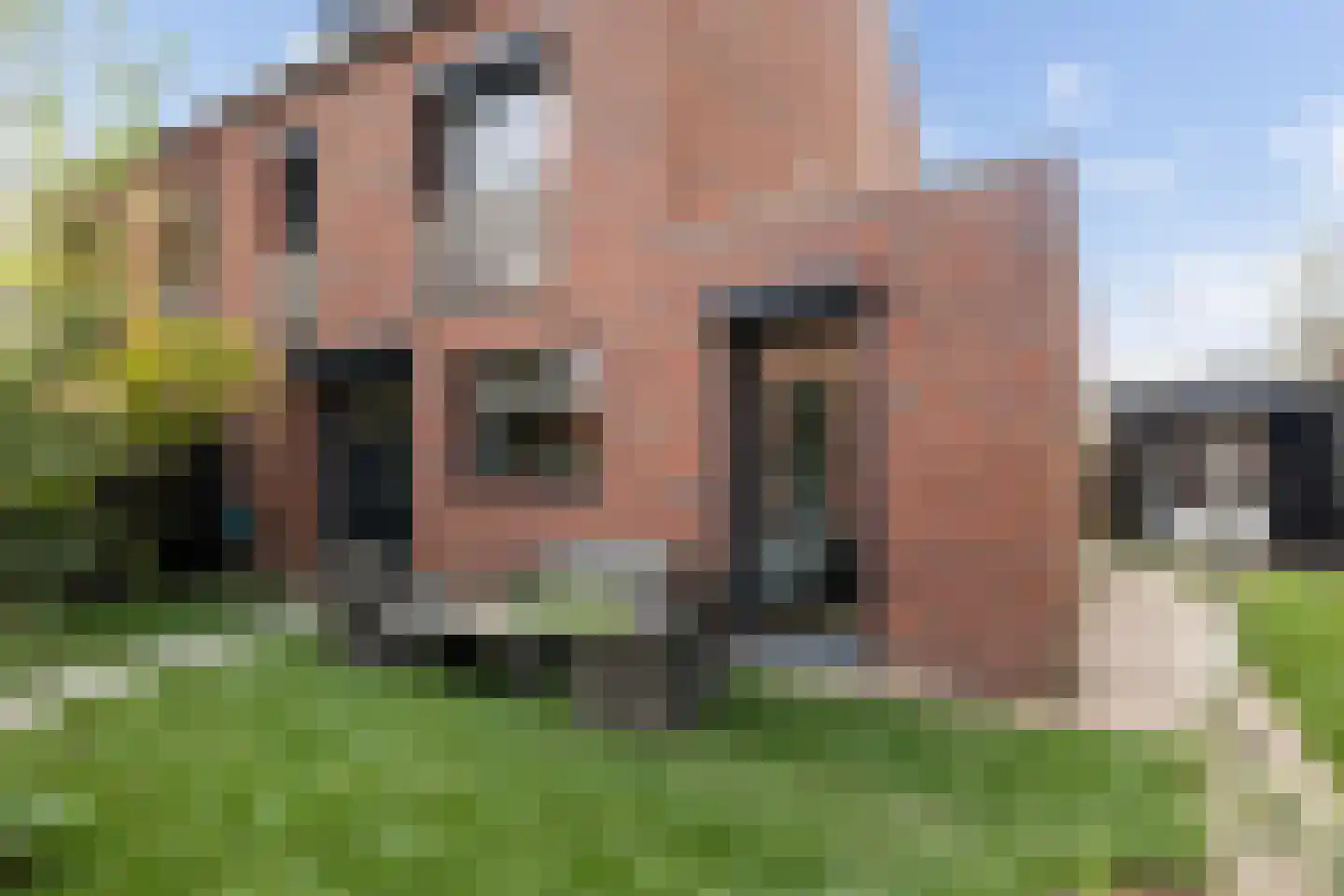 Ravelplantsoen 15 Amersfoort thumbnail 20
