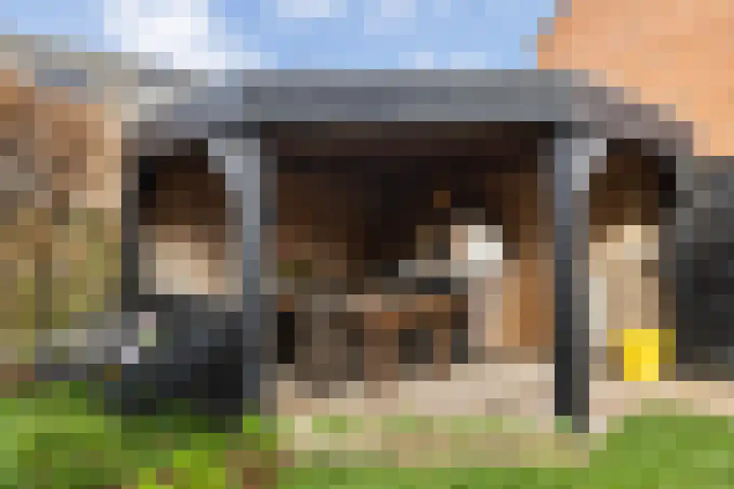 Ravelplantsoen 15 Amersfoort thumbnail 22