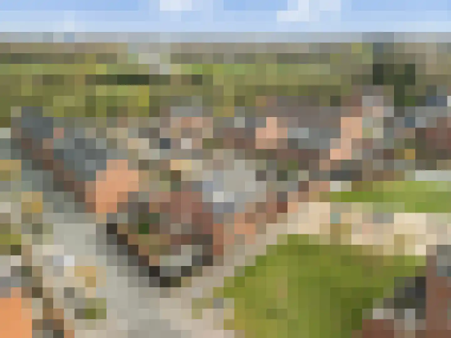 Ravelplantsoen 15 Amersfoort thumbnail 42