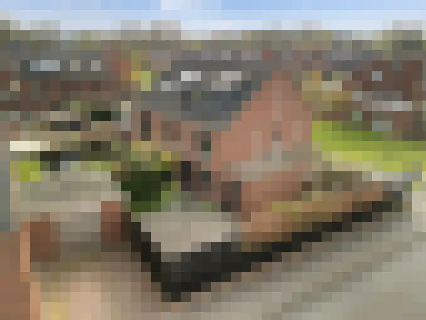 Ravelplantsoen 15 Amersfoort thumbnail 43