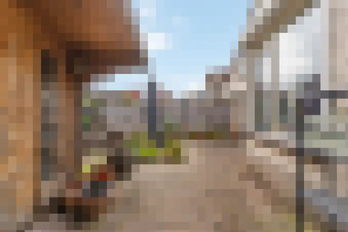 Ravelplantsoen 18 Barendrecht thumbnail 24