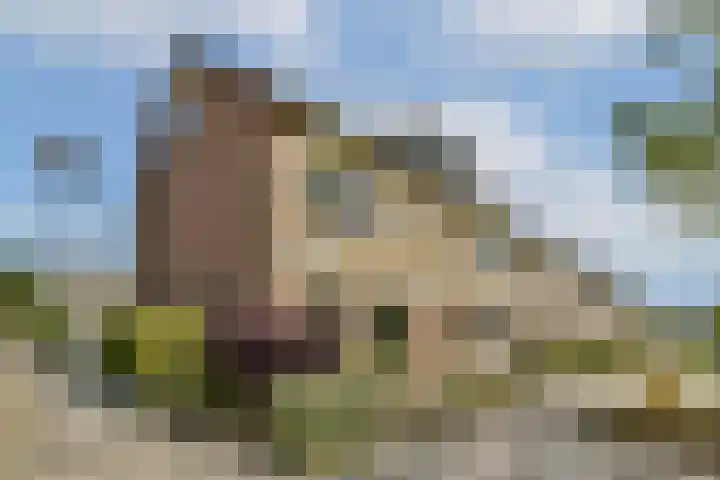 Ravelplantsoen 50 Almere thumbnail 23