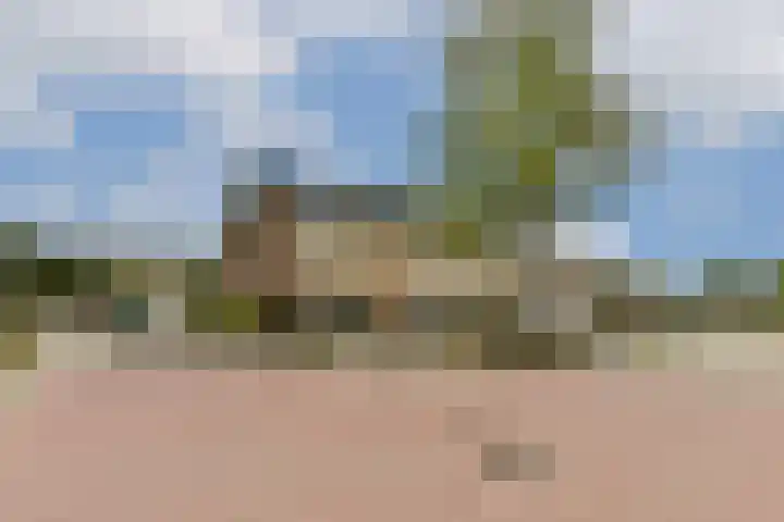 Ravelplantsoen 50 Almere thumbnail 26