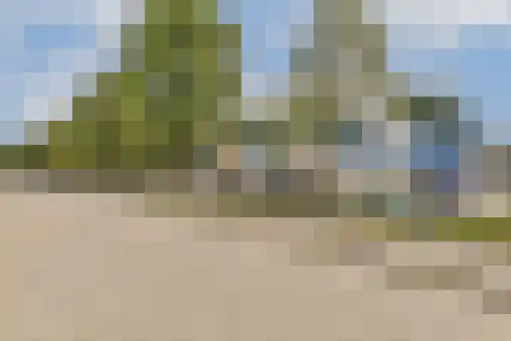 Ravelplantsoen 50 Almere thumbnail 27