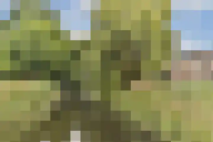Ravelplantsoen 50 Almere thumbnail 28