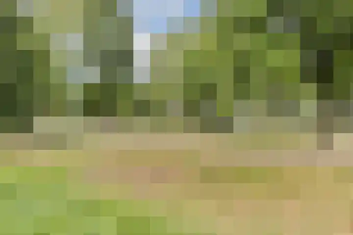 Ravelplantsoen 50 Almere thumbnail 29