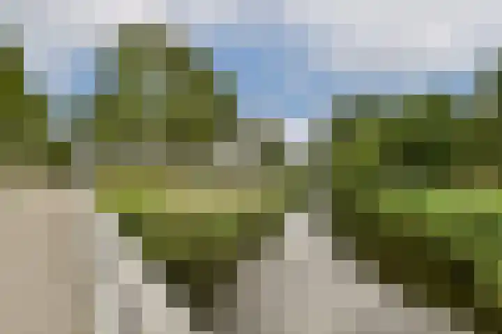 Ravelplantsoen 50 Almere thumbnail 30