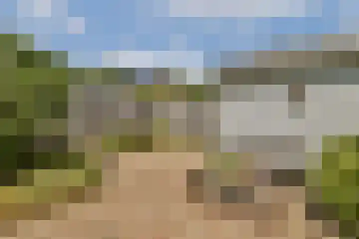 Ravelplantsoen 50 Almere thumbnail 8