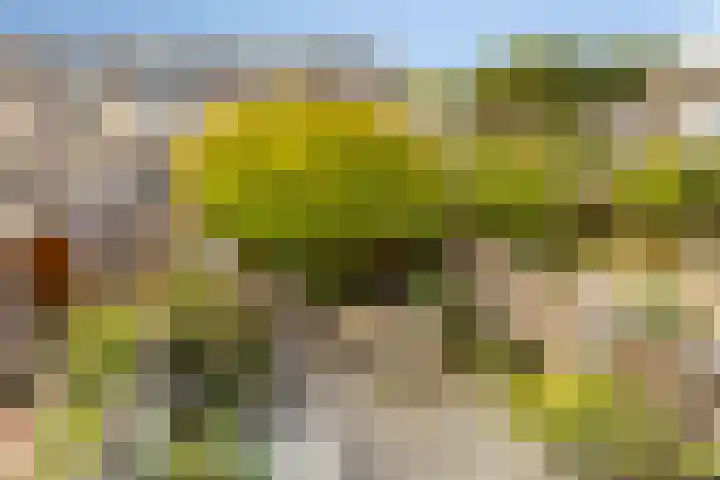 Ravelplantsoen 72 Almere thumbnail 31
