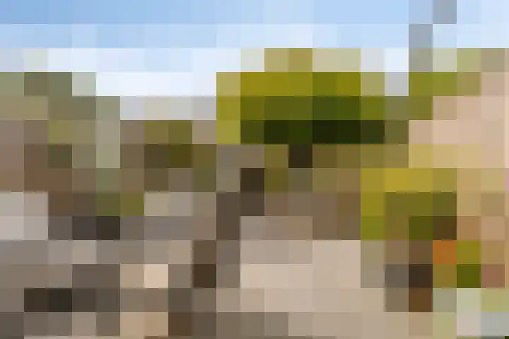 Ravelplantsoen 72 Almere thumbnail 32