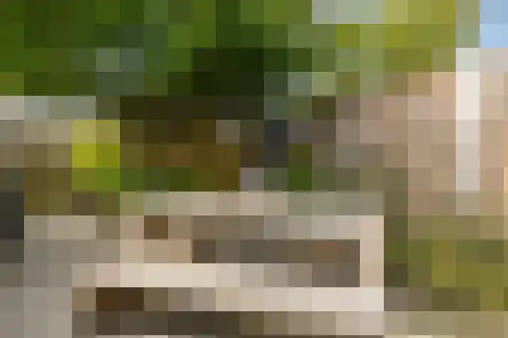 Ravelplantsoen 72 Almere thumbnail 34