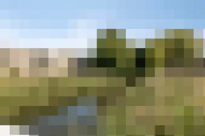 Ravelplantsoen 72 Almere thumbnail 37