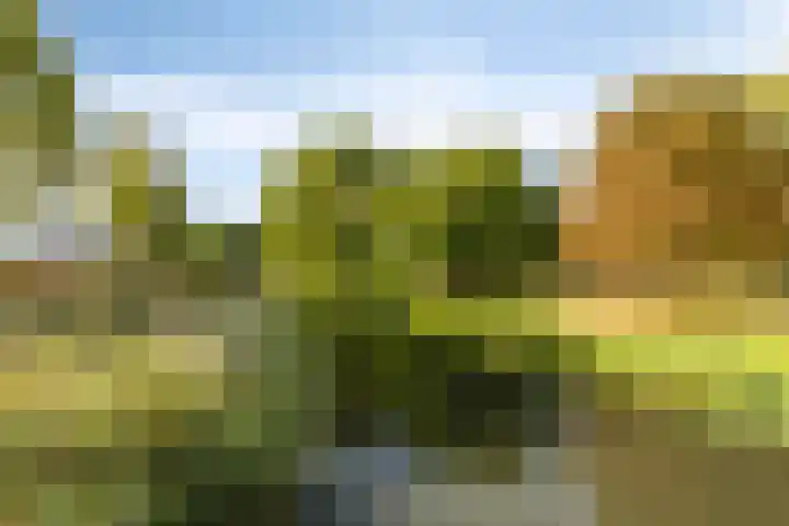 Ravelplantsoen 72 Almere thumbnail 38