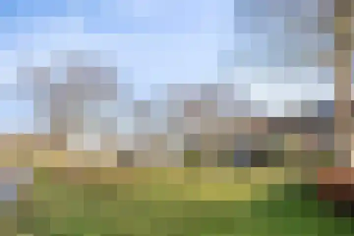 Ravelplantsoen 8 Almere thumbnail 29