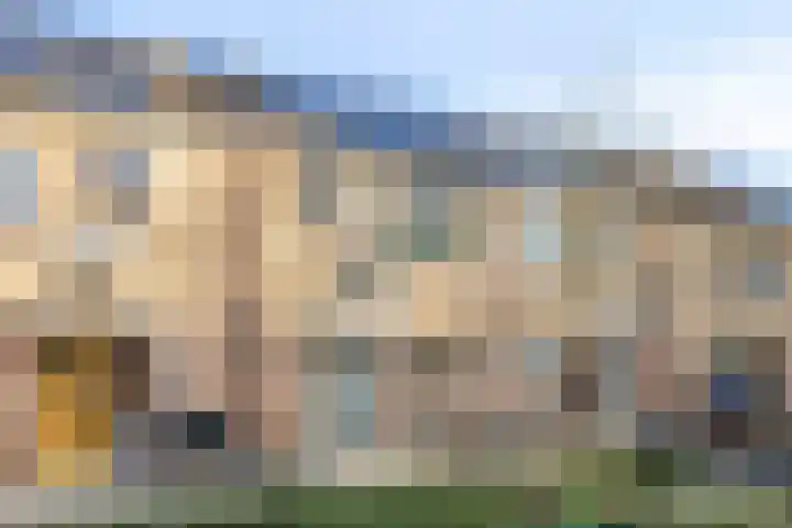 Ravelplantsoen 8 Almere thumbnail 6