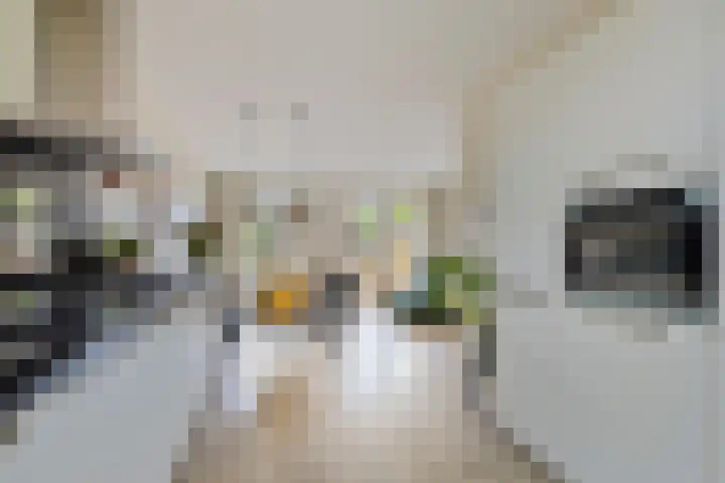 Ravelplantsoen 8 Amersfoort thumbnail 10