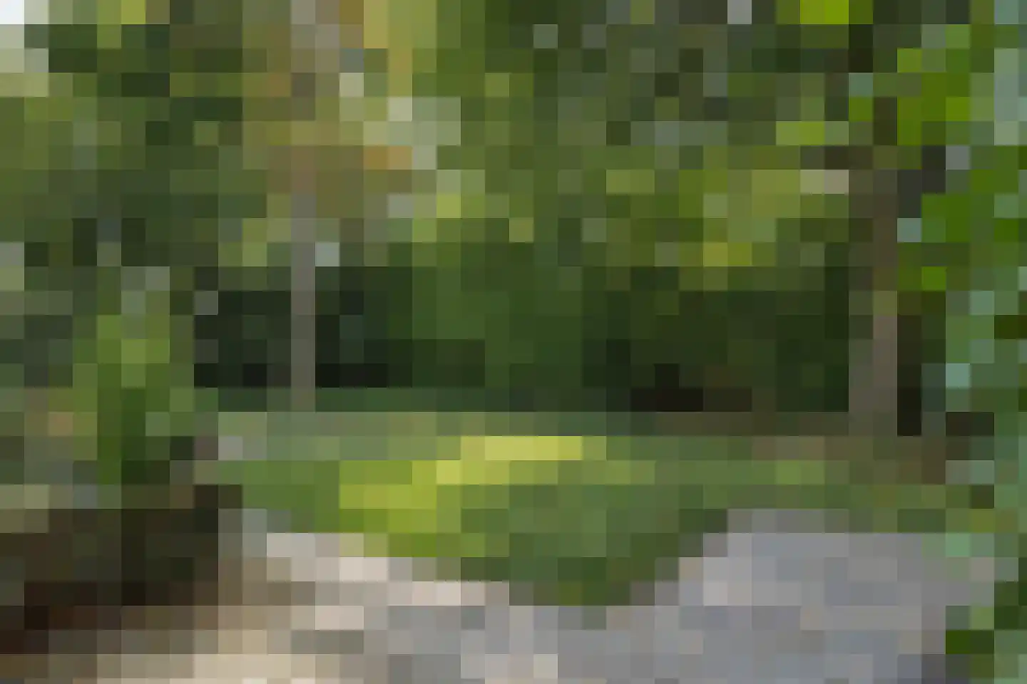 Ravèlplein 1 Helmond thumbnail 42