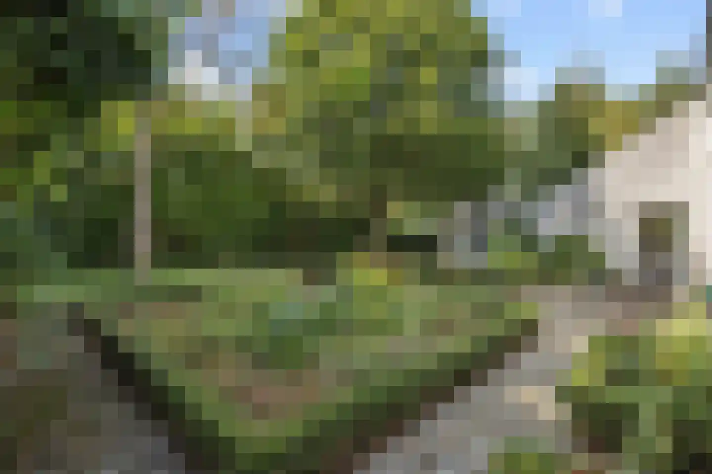 Ravèlplein 1 Helmond thumbnail 46