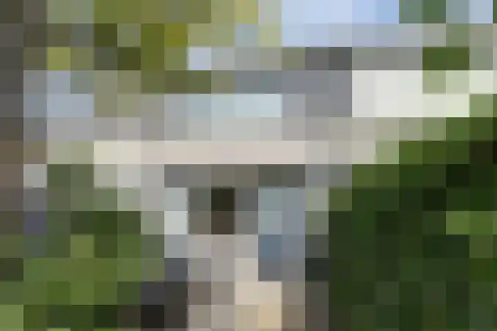 Ravelplein 16 Gouda thumbnail 34