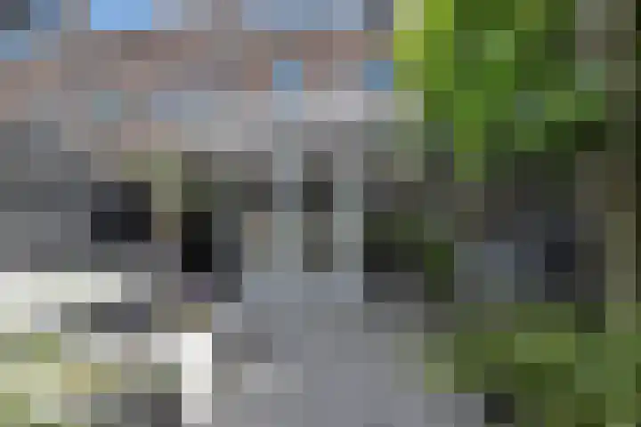 Ravelplein 17 Gouda thumbnail 26