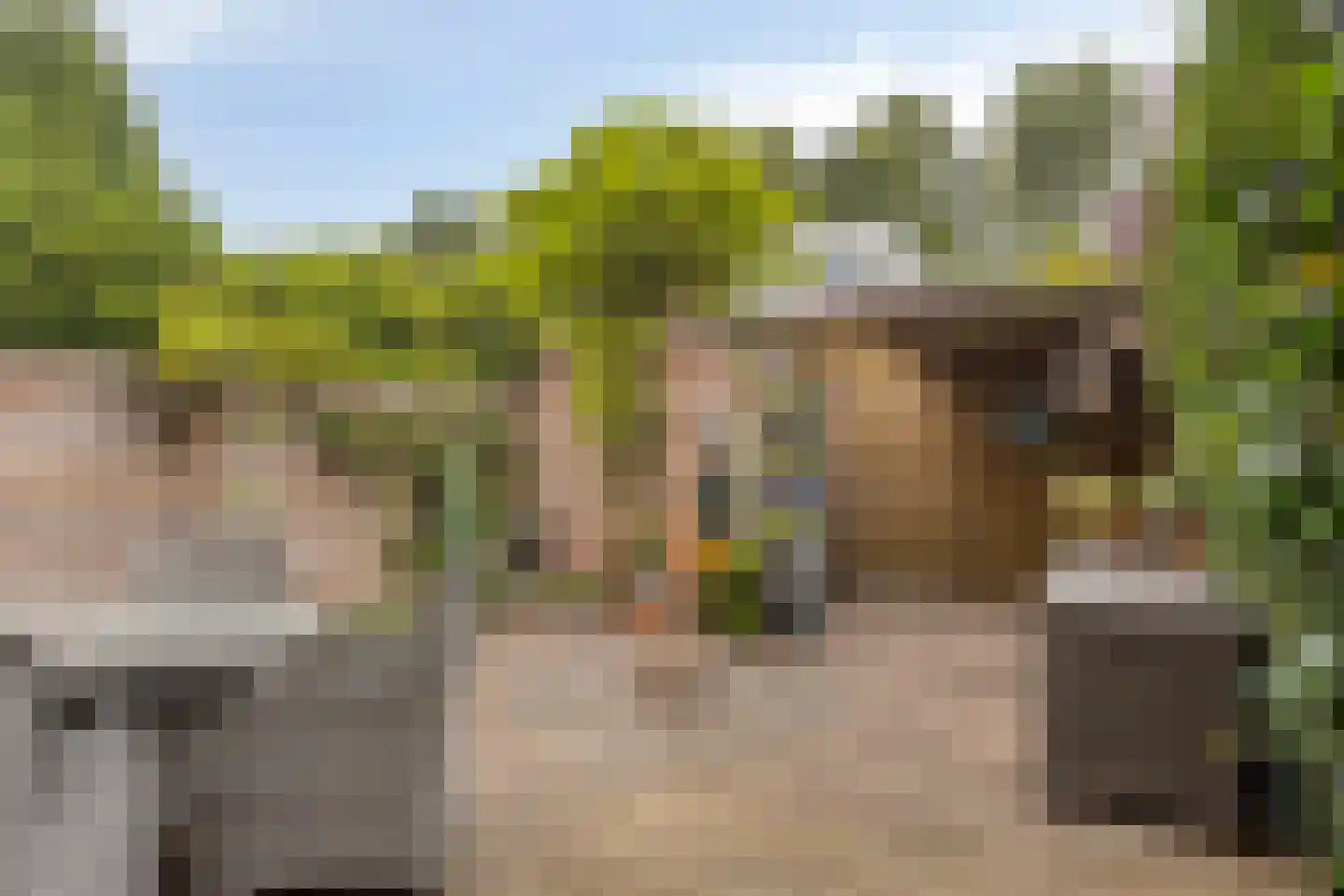 Ravelplein 33 Gouda thumbnail 20
