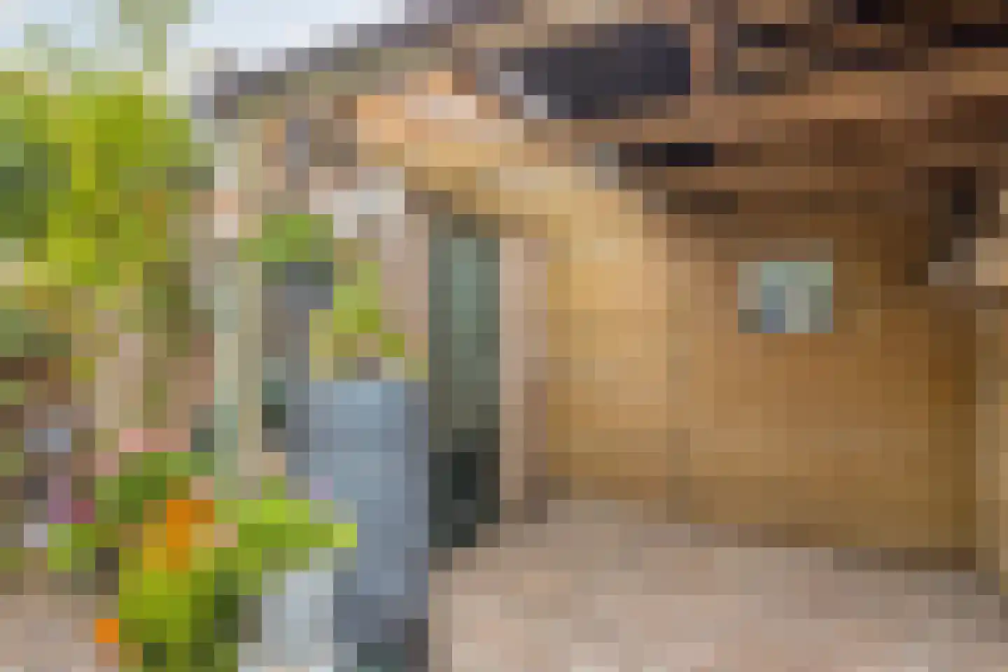 Ravelplein 33 Gouda thumbnail 21