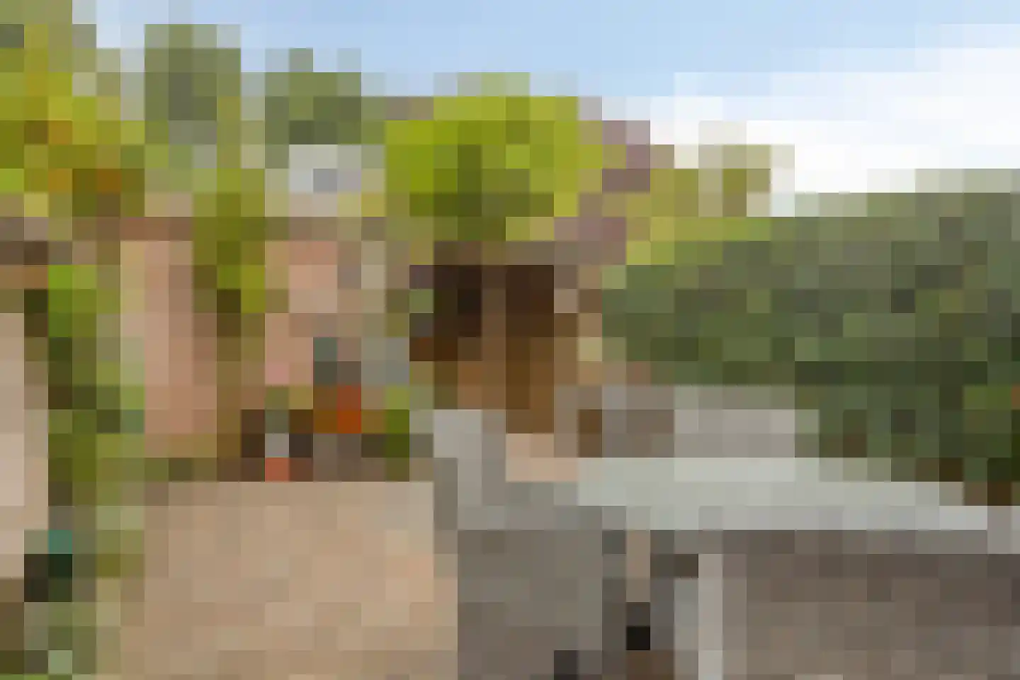 Ravelplein 33 Gouda thumbnail 22