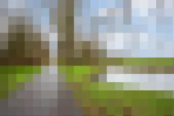 Ravelplein 36 Gouda thumbnail 44