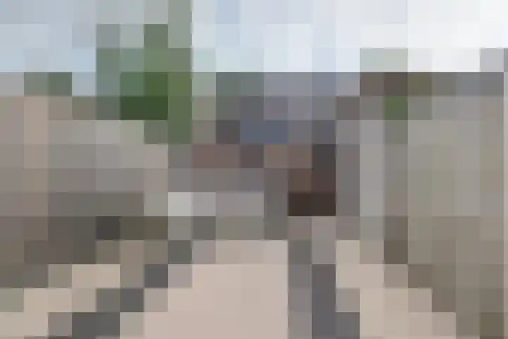 Ravelplein 49 Gouda thumbnail 5