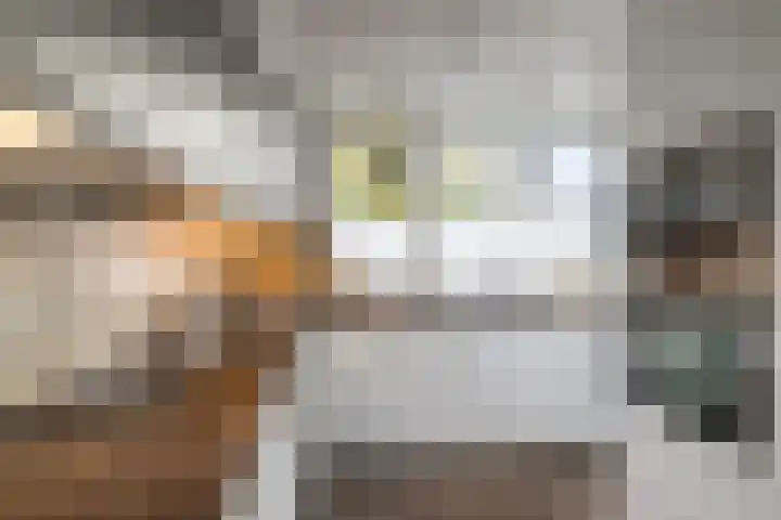 Ravelplein 50 Gouda thumbnail 8