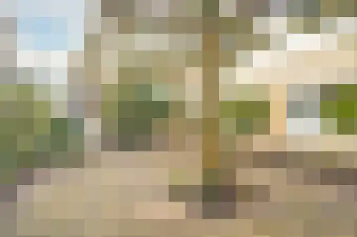 Ravelstraat 1 Drunen thumbnail 25